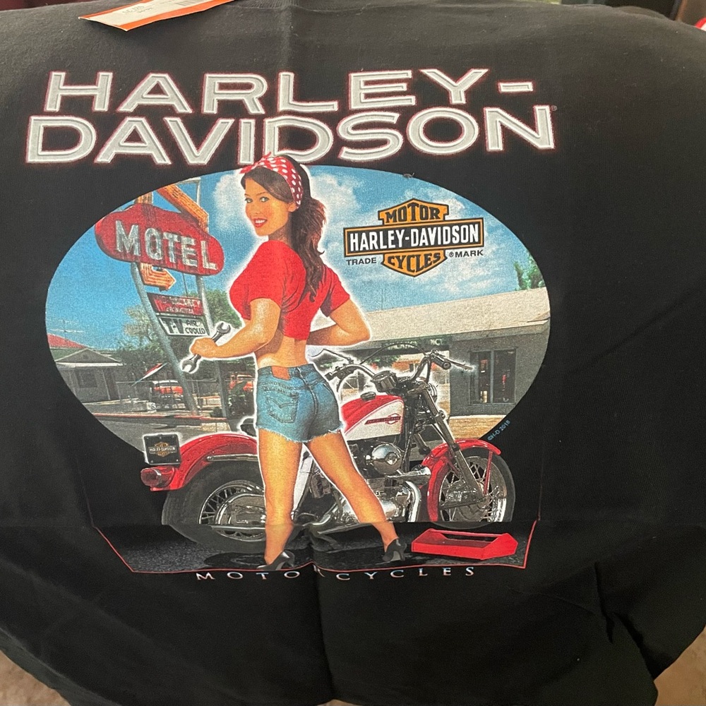 Harley-Davidson Black T-Shirt with Red Accents from San Diego California 2018